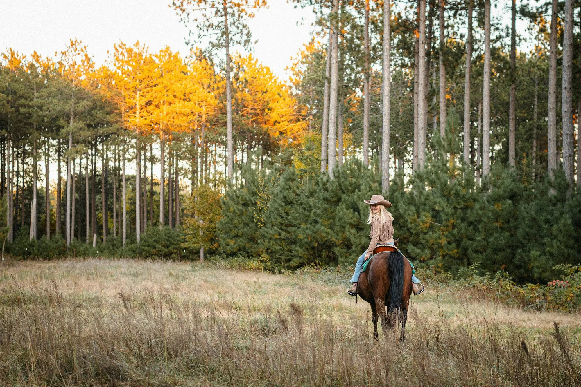 A rider on horseback at the edge of a forest trail