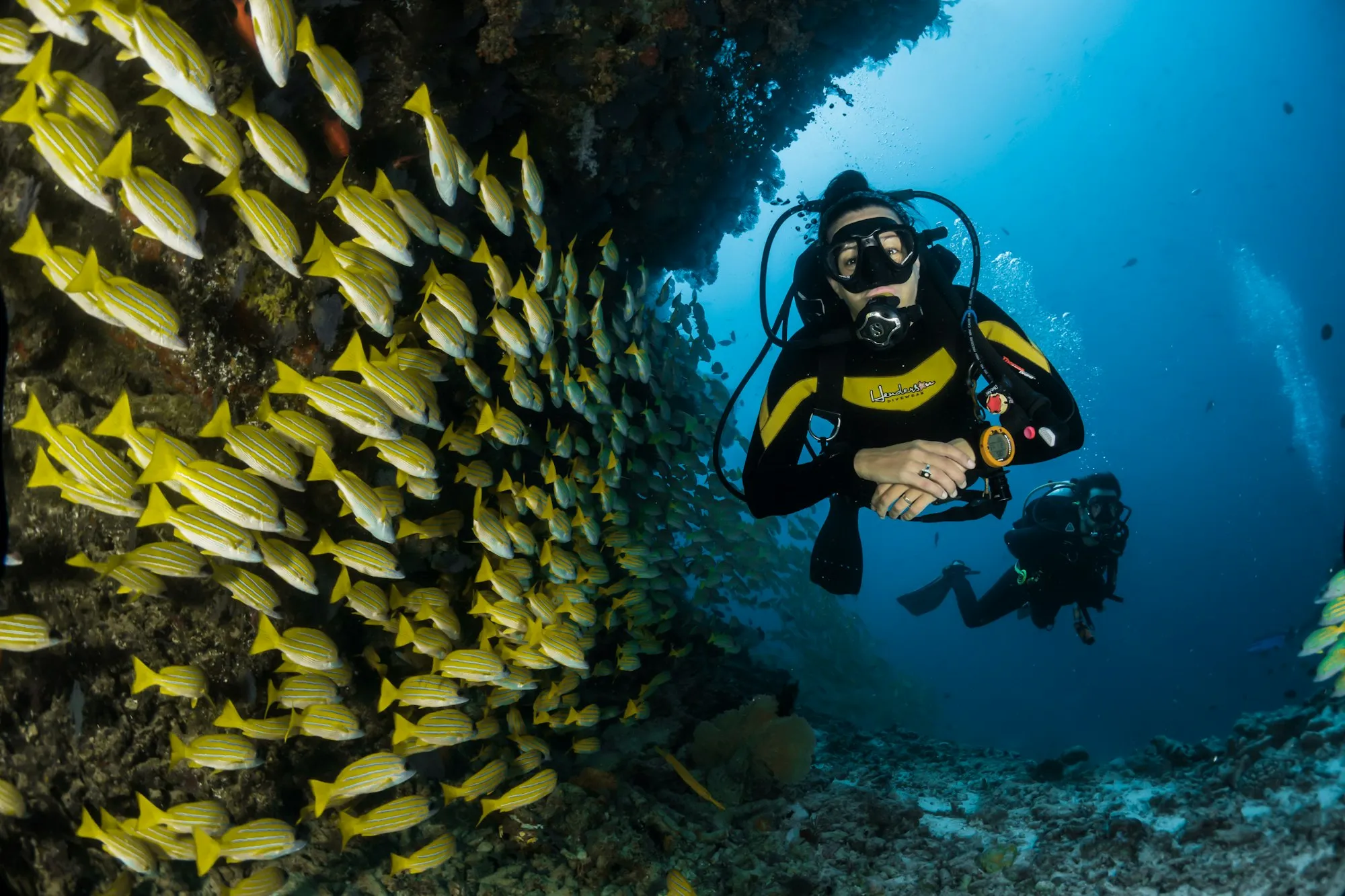 A scuba diver swimming beside a school of yellow fish