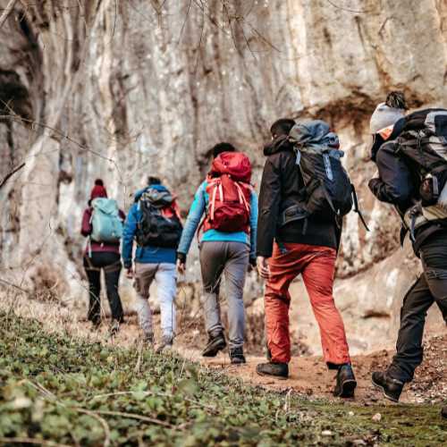 Travel Website Design